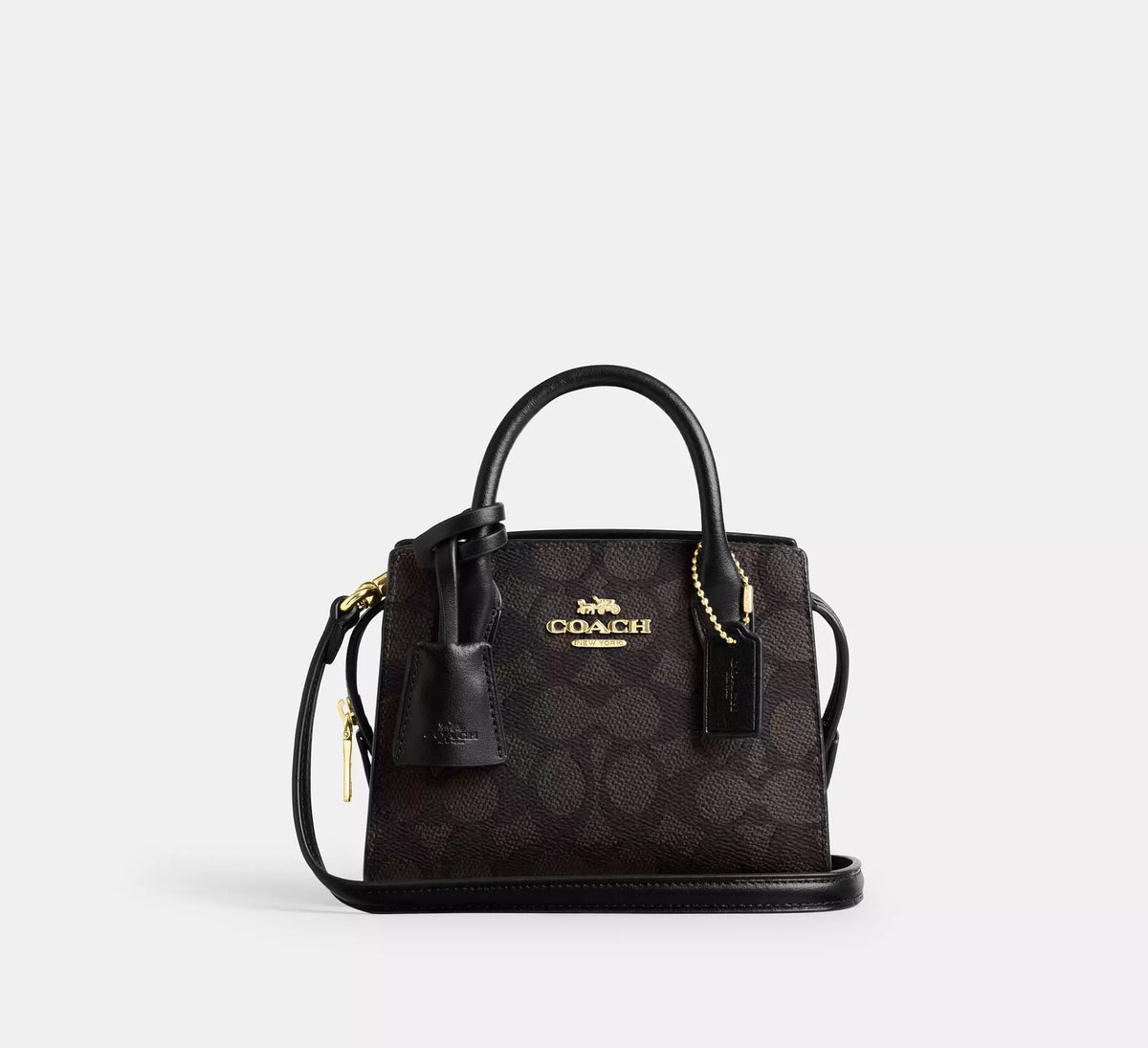 Andrea Mini Carryall Bag In Signature Canvas