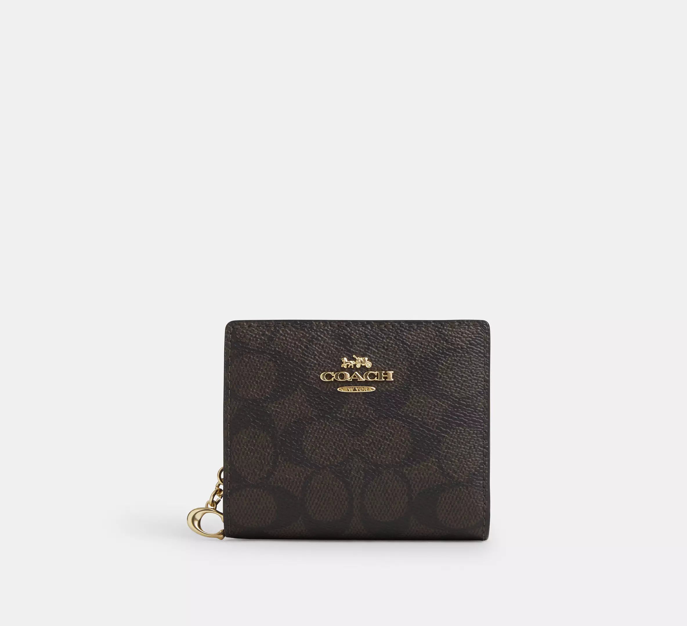 Snap Wallet In Signature Canvas