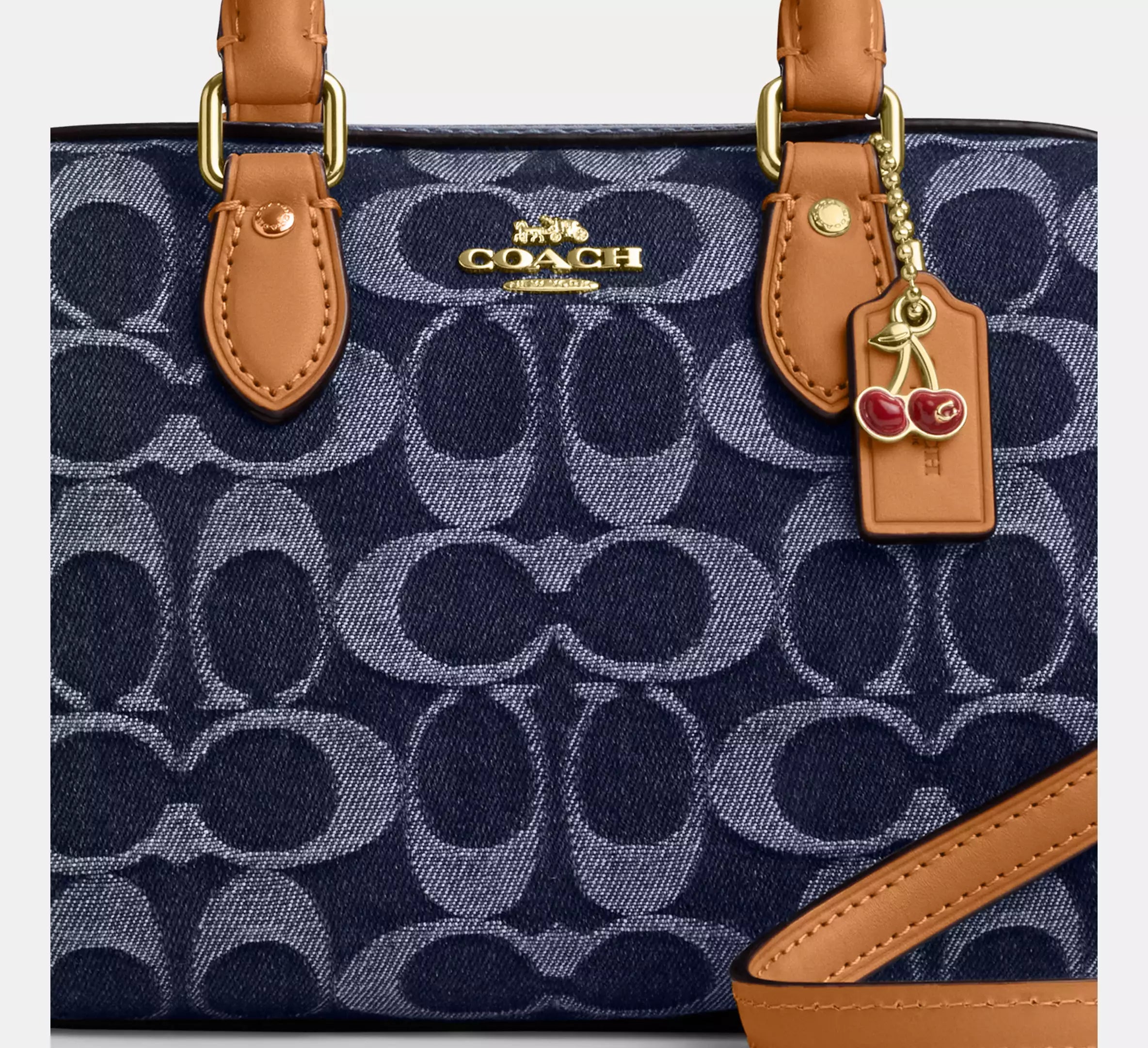 Mini Rowan Crossbody Bag In Signature Denim