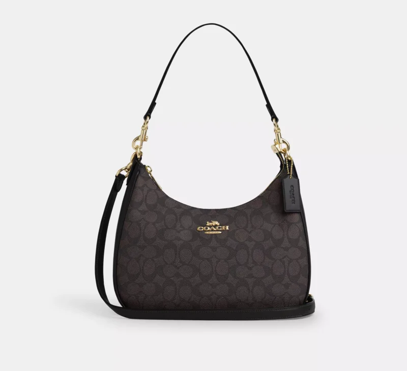 Teri hobo bag